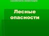 Лесные опасности
