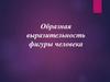 Образная выразительность фигуры человека