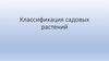 Классификация садовых растений