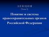 Понятие и система правоохранительных органов Российской Федерации