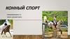 Конный спорт