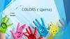 Colors ( цвета)