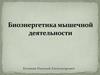 Биоэнергетика мышечной деятельности