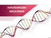 Нуклеинови киселини