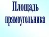 Площадь прямоугольника