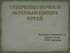 Туберкулез почек и мочевыводящих путей