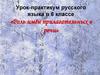 Роль имён прилагательных в речи.  6 класс