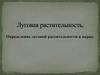Луговая растительность. Определение луговой растительности в парке