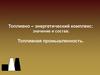 Топливно – энергетический комплекс: значение и состав. Топливная промышленность