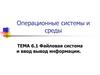 Файловая система и ввод вывод информации