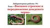 Внешнее строение и передвижение дождевого червя