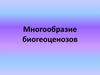 Многообразие биогеоценозов