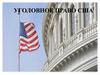 Уголовное право США