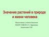 Значение растений в природе и жизни человека
