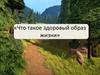 Что такое здоровый образ жизни