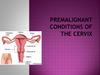 Premalignant conditions of the cervix