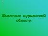 Животные Мурманской области
