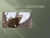 Соболь – «дорогой» зверёк