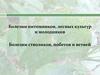 Болезни питомников, лесных культур и молодняков. Болезни стволиков, побегов и ветвей
