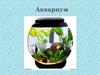 Аквариум – дом для рыбок