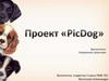 Управление проектами. Проект "PicDog"