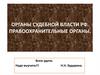 Органы судебной власти РФ. Правоохранительные органы