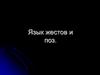 Язык жестов и поз
