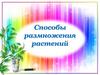 Способы размножения растений. 6 класс