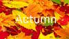 Autumn