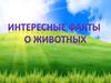 Факты о животных
