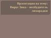 Вирус Зика - возбудитель лихорадки