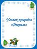 Уголок природы «Февраль»