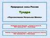 Тундра. Природные зоны России. Положение на карте