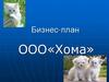 Бизнес-план ООО «Хома»