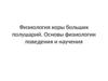 Физиология коры больших полушарий. Основы физиологии поведения и научения