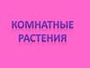 Комнатные растения. Загадки