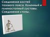 Соединения костей тазового пояса. Коленный и голеностопный суставы. Соединения стопы