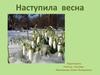 Наступила весна