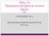 Трудовые ресурсы и оплата труда. Лекция №1. Производительность труда