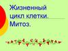 Жизненный цикл клетки. Митоз