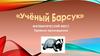 Математический квест. Правила прохождения