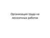 Организация труда на лесосечных работах