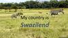 My country is Swazilend