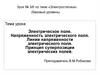Электрическое поле. Напряженность электрического поля. Линии напряженности электрического поля