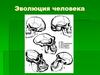 Эволюция человека