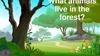 What animals live in the forest?