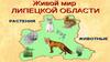 Животный мир Липецкого края