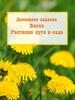Растения луга и сада. ИЗО
