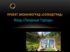 Проект Эконаукоград «Солнцеград». Фонд «Лазурные Города»