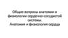 Общие вопросы анатомии и физиологии сердечно-сосудистой системы. Анатомия и физиология сердца. Тема 8